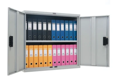 Шкаф металлический для документов Практик СВ-01